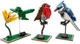Sale LEGO 21301